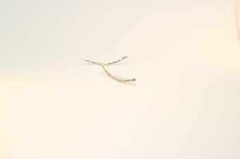 Çekiçlenmiş Tırmanıcı Küpe / Hammered Ear Cuff / 925 Gümüş / Çift - Görsel 6