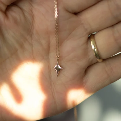 14 Ayar Altın Kuzey Yıldızı Mini Kolye