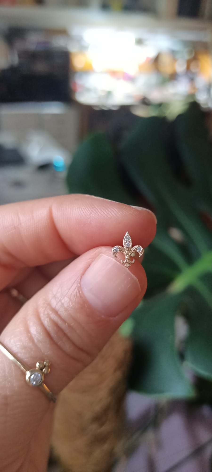 14 Ayar Altın Fleur de Lis Küpe – Zarif ve Zamansız Sembol
